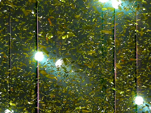 9 mistrzostwo Prokomu_30