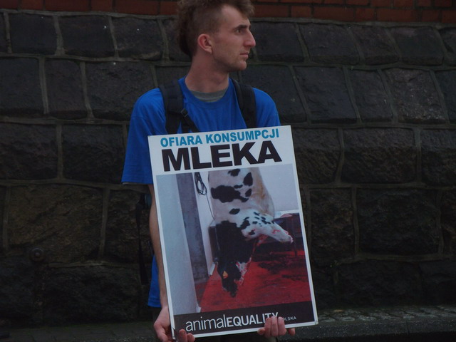 Manifestacja Animal Equality_01