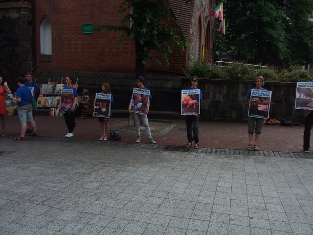 Manifestacja Animal Equality_11