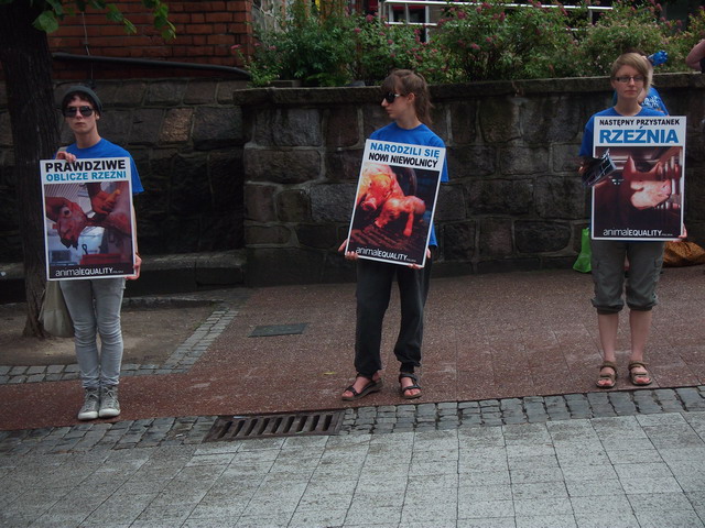 Manifestacja Animal Equality_16