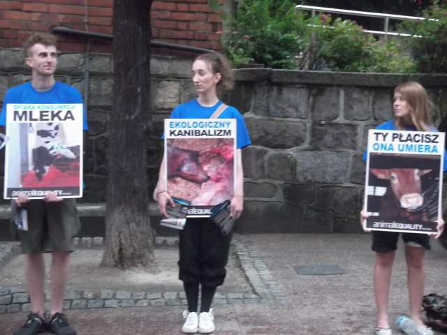 Manifestacja Animal Equality_32