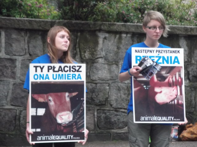 Manifestacja Animal Equality_33
