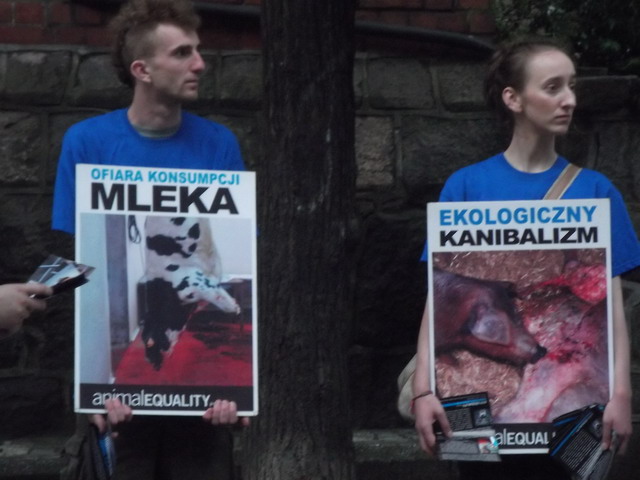Manifestacja Animal Equality_34