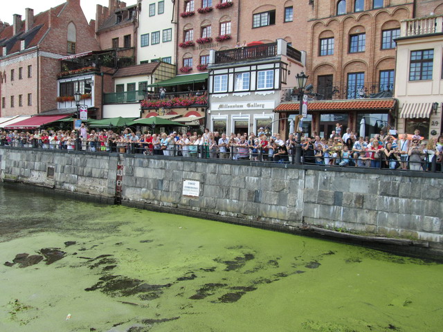 Parada zaglowcow 2012_49