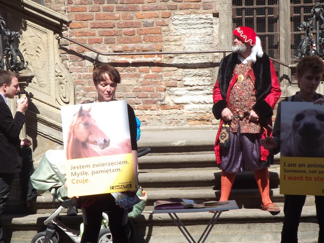 animalsi 22 lipca_03