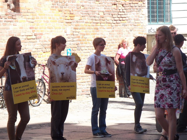 animalsi 22 lipca_05