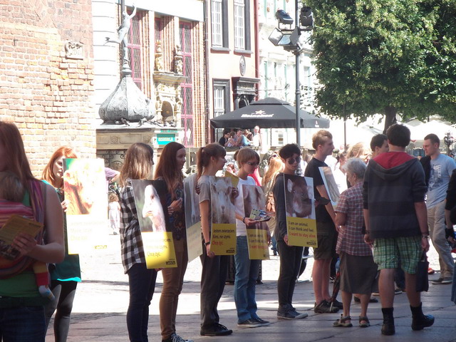 animalsi 22 lipca_06