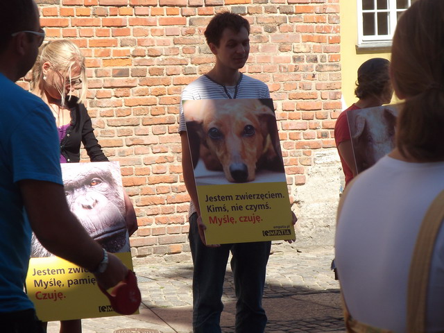 animalsi 22 lipca_08