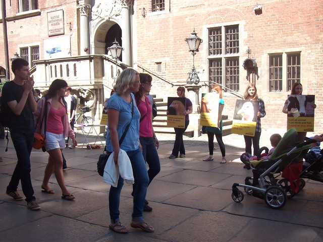 animalsi 22 lipca_09