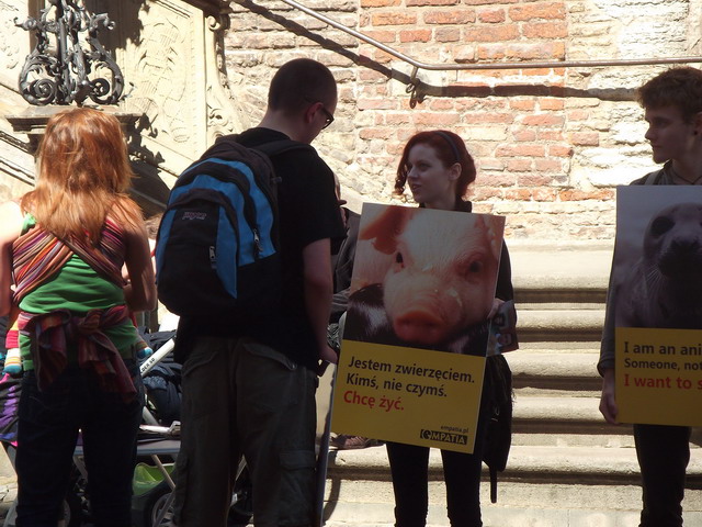 animalsi 22 lipca_10