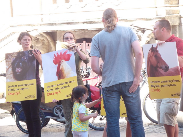 animalsi 22 lipca_11