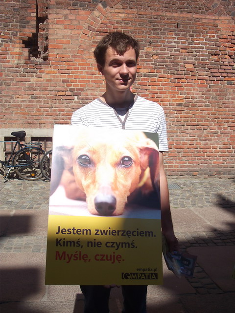 animalsi 22 lipca_15