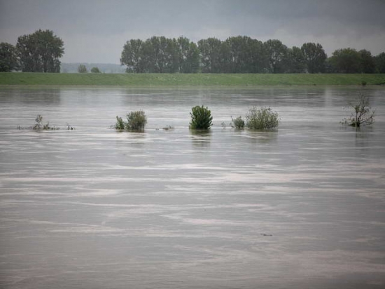 Przygotowania przed przyjściem fali - Tczew 24 maja 2010