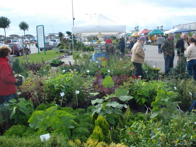 jesien w ogrodzie 2012_01