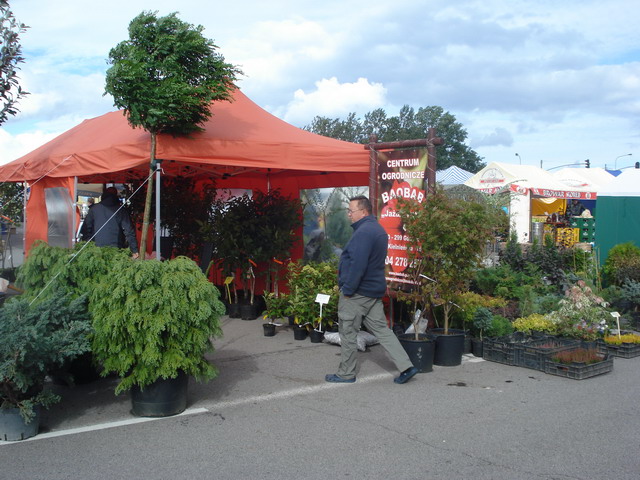 jesien w ogrodzie 2012_02