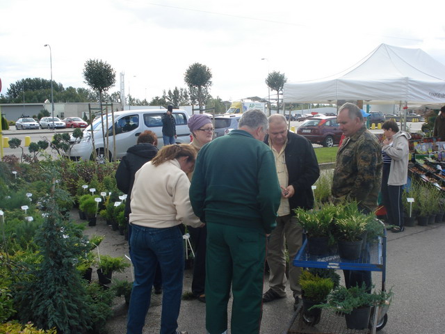 jesien w ogrodzie 2012_04