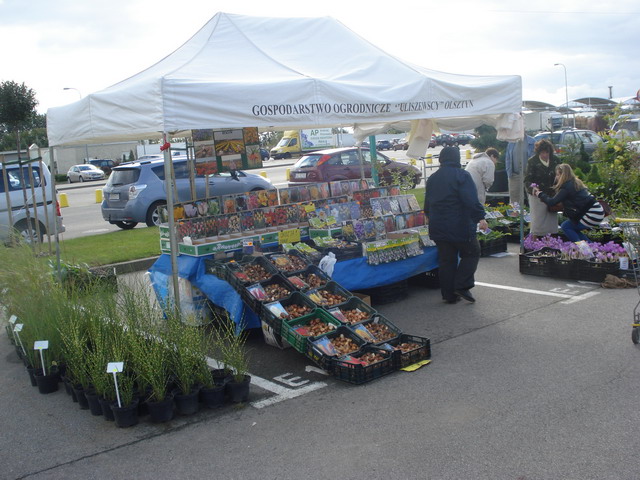 jesien w ogrodzie 2012_06