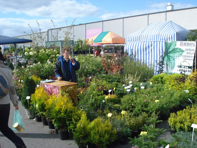 jesien w ogrodzie 2012_07