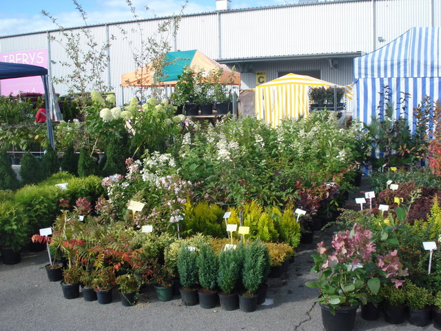 jesien w ogrodzie 2012_09