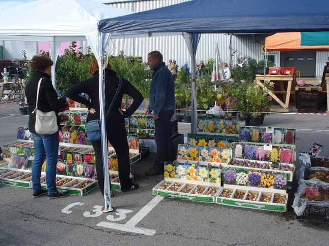 jesien w ogrodzie 2012_11