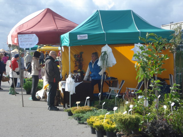 jesien w ogrodzie 2012_12