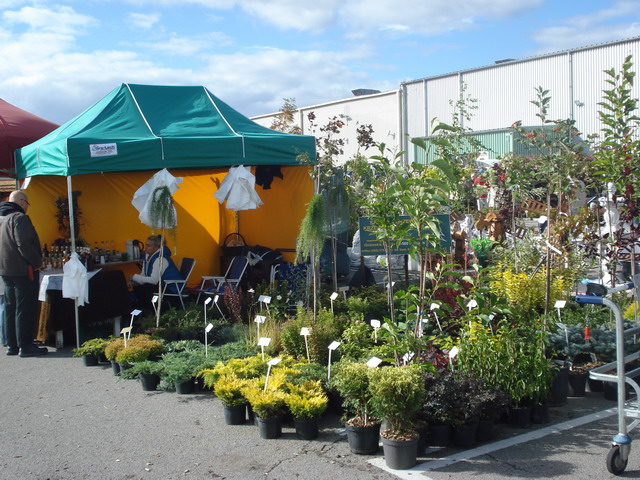 jesien w ogrodzie 2012_15