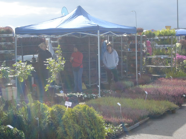 jesien w ogrodzie 2012_16