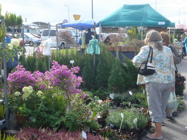 jesien w ogrodzie 2012_18