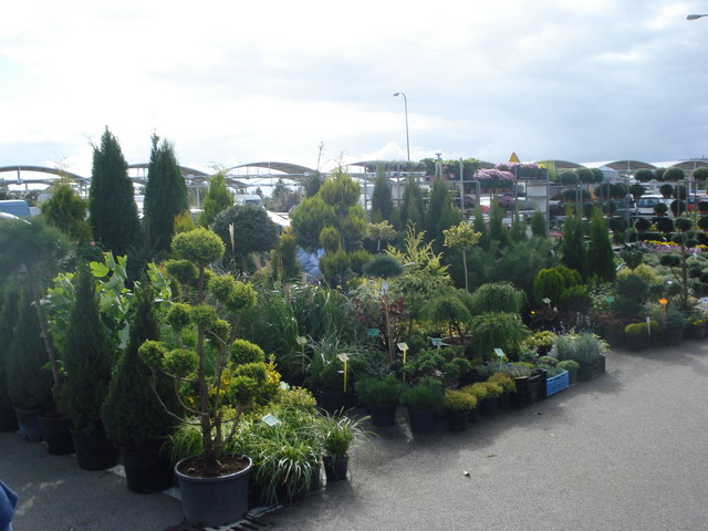 jesien w ogrodzie 2012_22