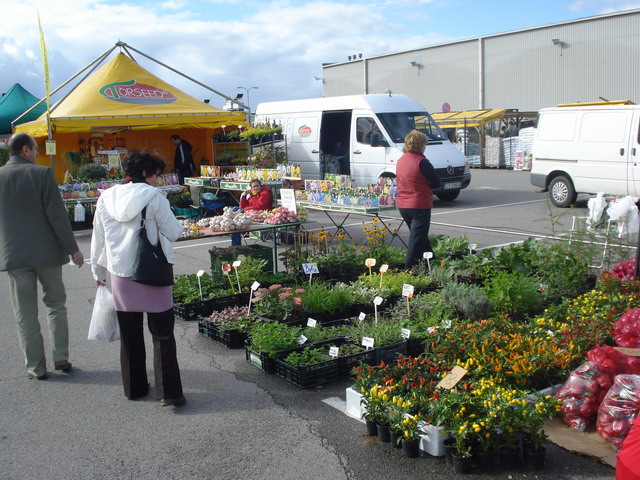 jesien w ogrodzie 2012_23