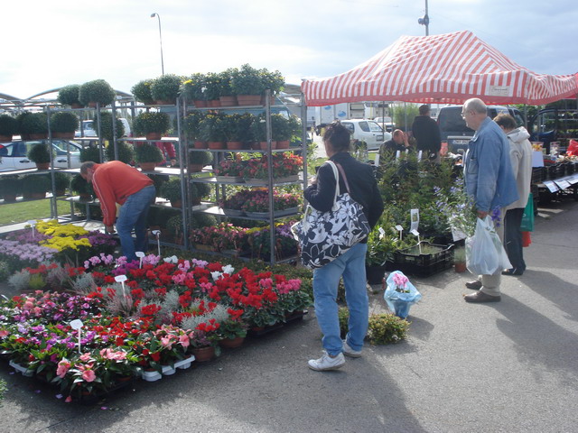 jesien w ogrodzie 2012_25