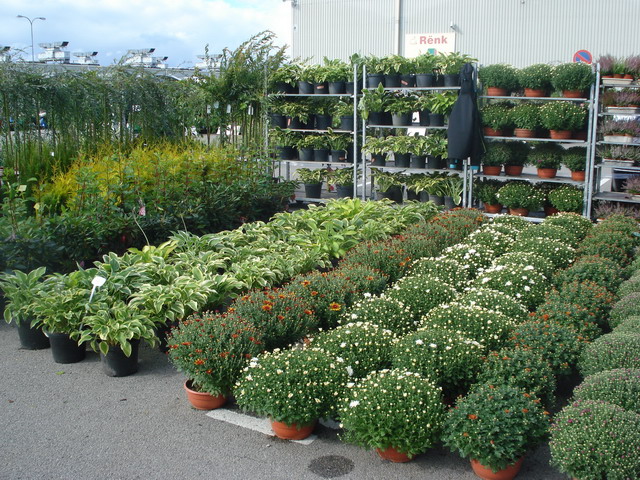 jesien w ogrodzie 2012_26