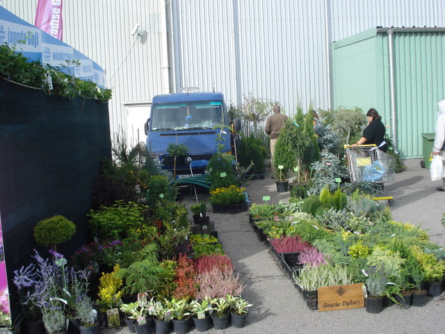 jesien w ogrodzie 2012_34