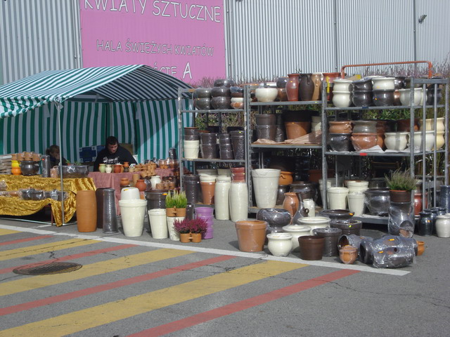 jesien w ogrodzie 2012_35