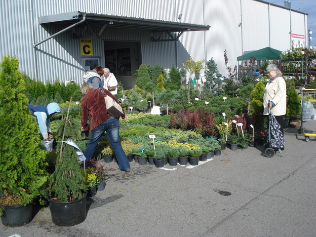 jesien w ogrodzie 2012_39