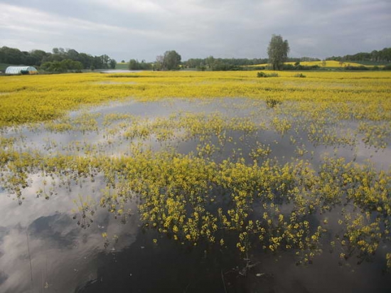 Sytuacja w Bałdowie i Tczewie rano 25-05-2010