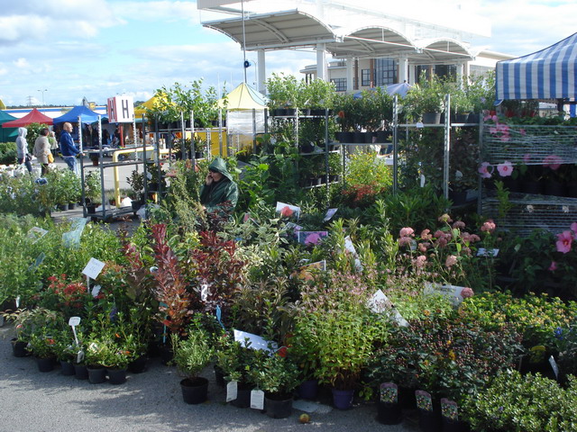 jesien w ogrodzie 2012_44