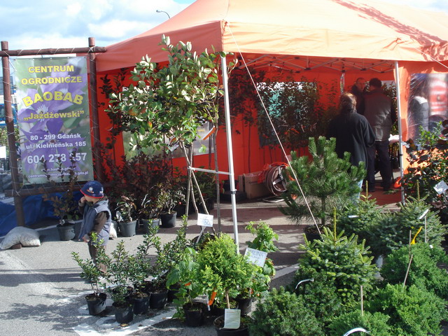 jesien w ogrodzie 2012_47