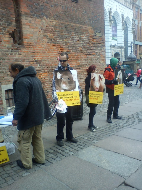 akcja jestem zwierzeciem_04