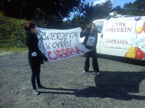 akcja jestem zwierzeciem_14