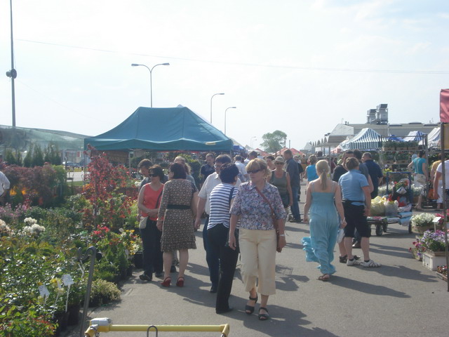 grajmy w zielone 2013_14