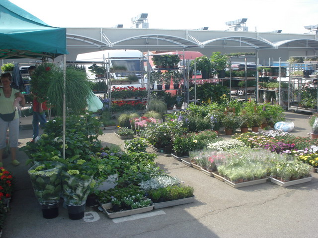 grajmy w zielone 2013_44