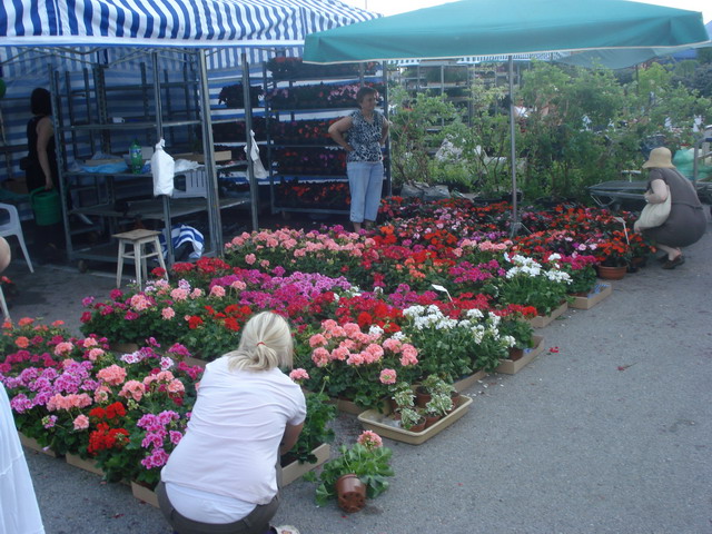 grajmy w zielone 2013_64