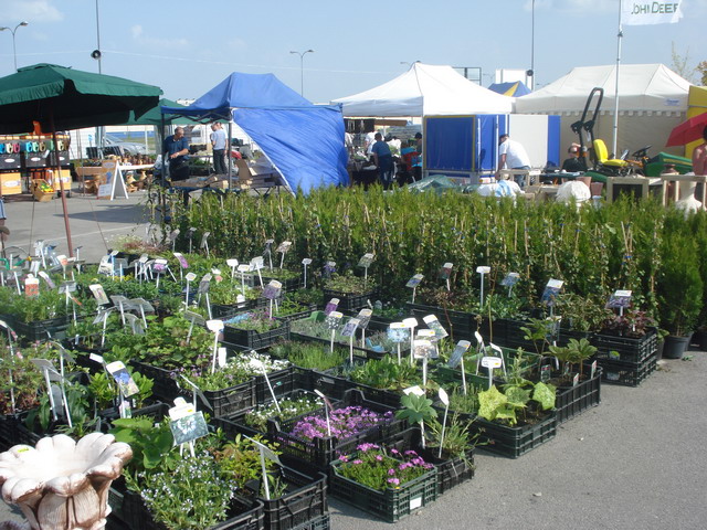 grajmy w zielone 2013_110