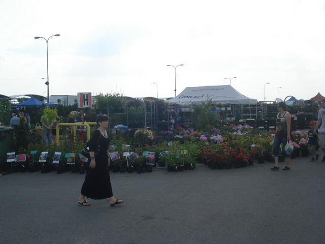 grajmy w zielone 2013_118