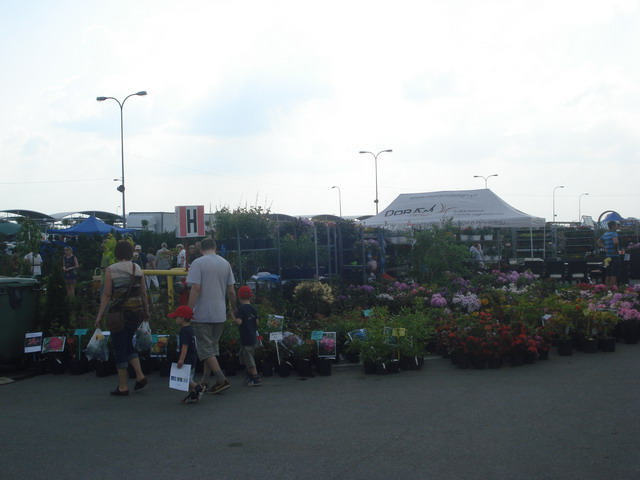 grajmy w zielone 2013_119