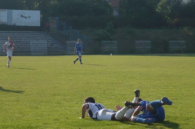 polonia - blekitni_27