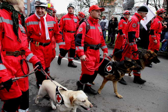 Obchody Dnia Niepodległości