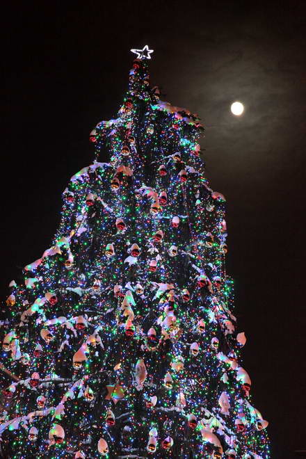 Gdańska Wigilia 2010