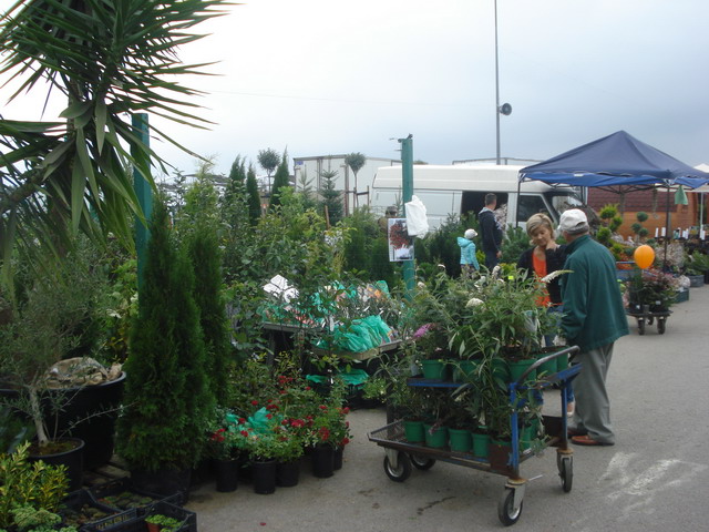 jesien w ogrodzie 2013_05